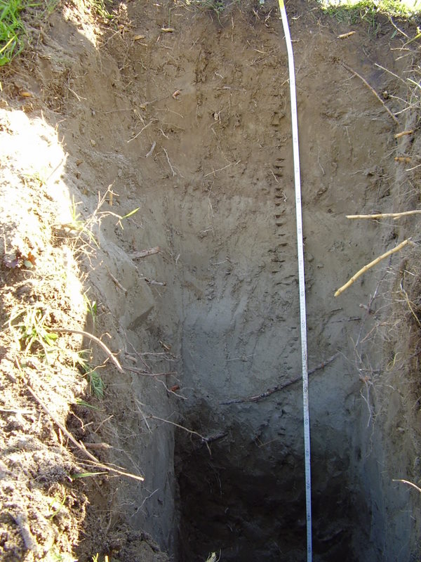 Soil Profile