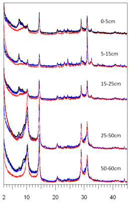 Soil profile clay mineralogy