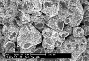 High quality SEM image - Pore lining illite